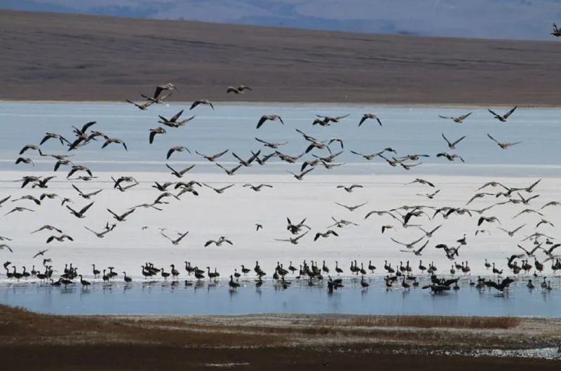 В Бурятии запустили осенние туры на озера Джидинского района