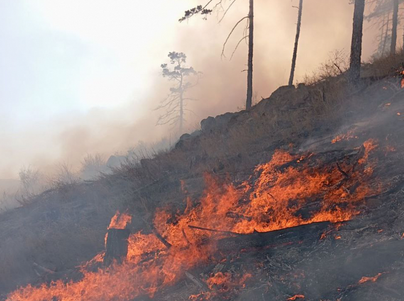 В Бурятии тушили первые лесные пожары