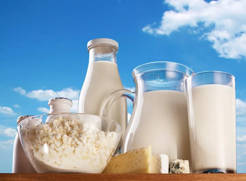 Dairy Asia будет сотрудничать с Монголией в продвижении ее молочной промышленности