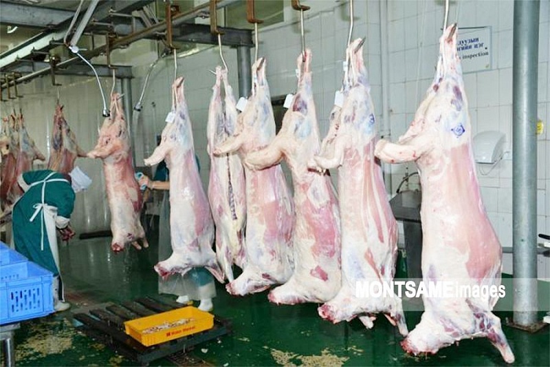 Монголия экспортировала в Иран 300 тонн баранины