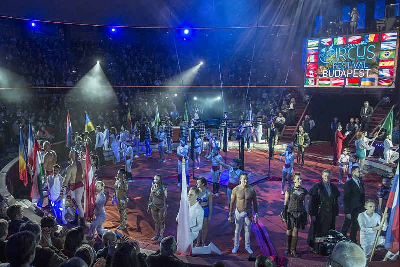 Китай и Монголия завоевали золото на 15-м Международном цирковом фестивале в Будапеште
