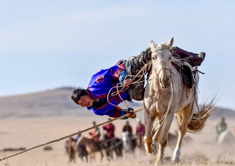 Монголия проведет ежегодный фестиваль "Лошади монгольских степей"