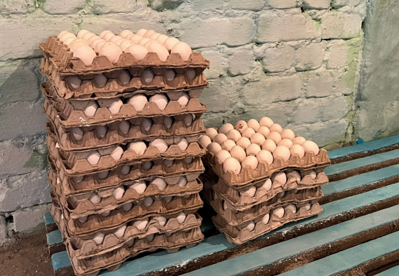 Читинские яйца будут стоить дешевле привозных