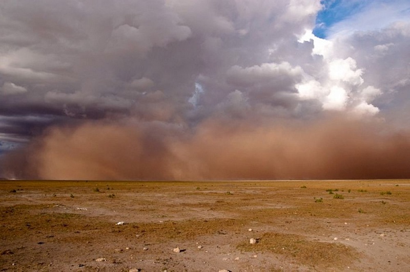 Опустынивание, связанное с изменением климата - главный фактор возникновения пыльных бурь в Монголии 