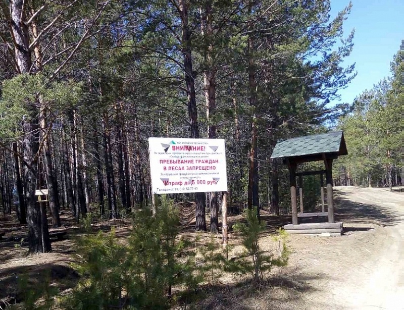Городские леса закрыты для пребывания людей до 13 июля