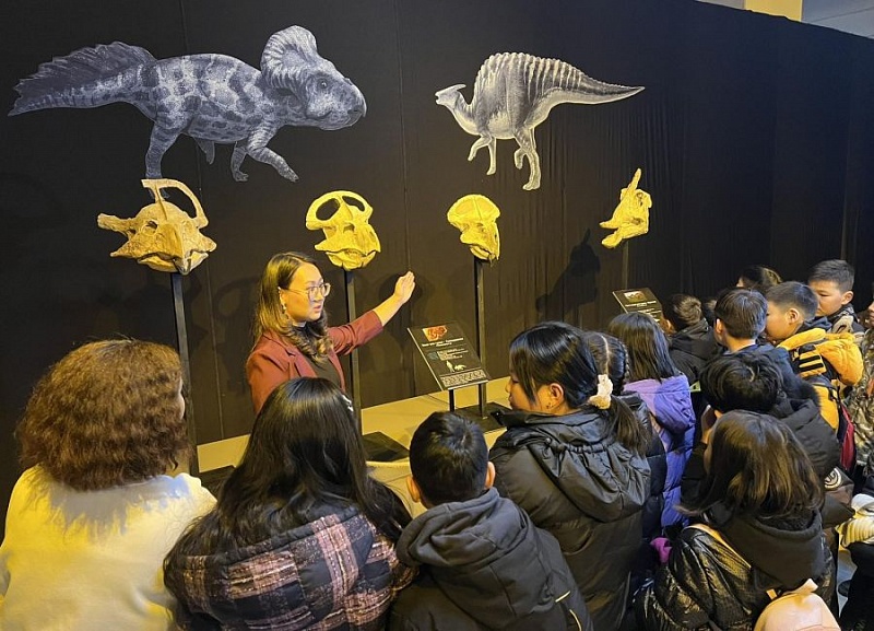 Открылась выставка окаменелостей динозавров, обнаруженных в Монголии