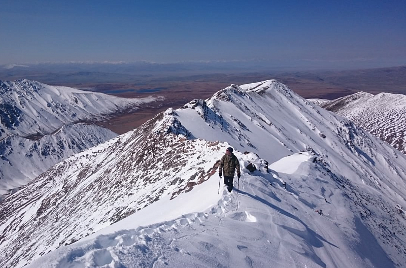 Альпинистов научат искать следы снежного барса