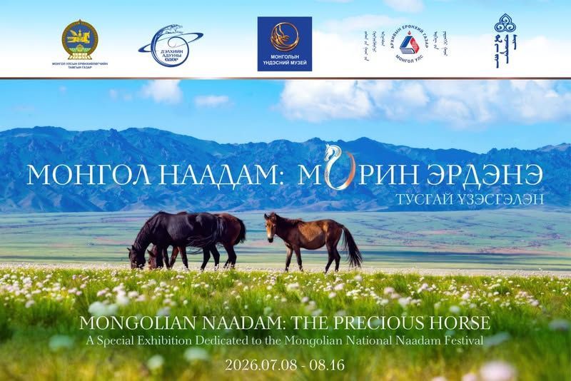 В Национальном музее Монголии откроется выставка, посвящённая монгольским лошадям и Всемирному дню лошади