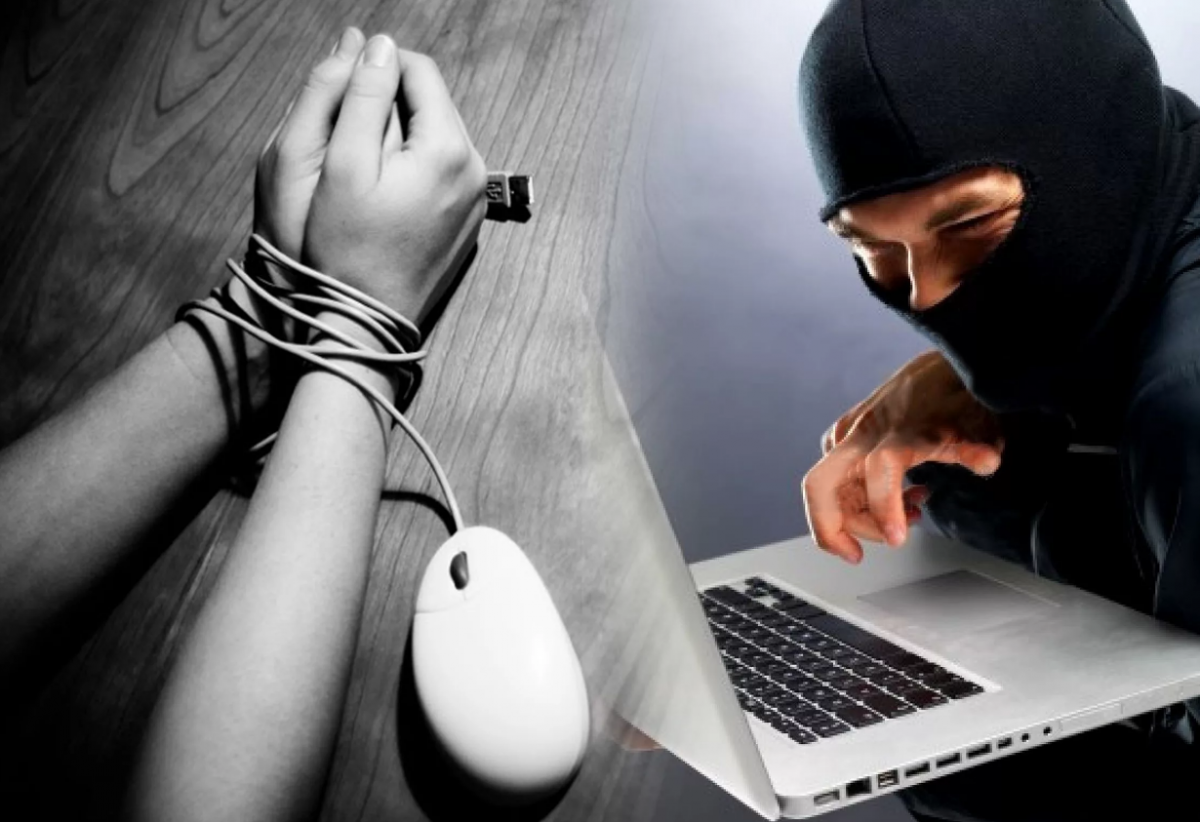 Борьба с интернет мошенничеством. Компьютерная преступность. Интернет преступность.
