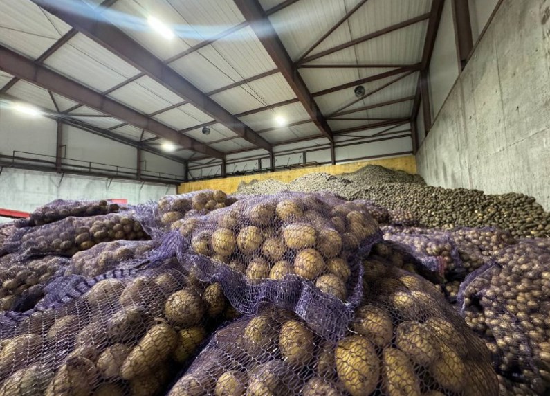 В Бурятии открыли хранилище на 8 тыс. тонн овощей