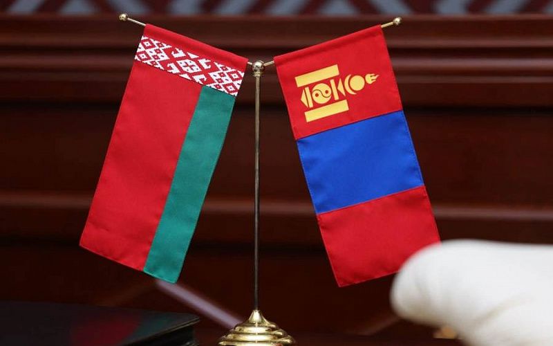 Депутаты ВГХ поддержали законопроект о ратификации договора между Монголией и Республикой Беларусь