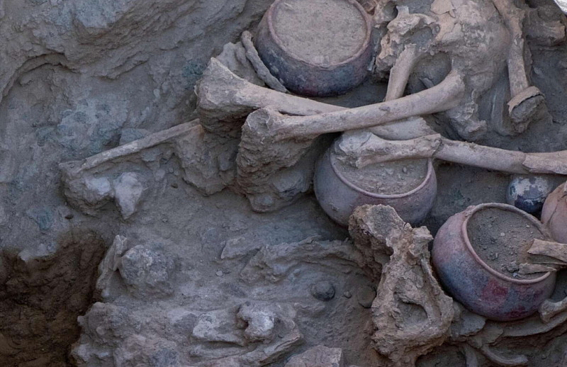 В Калмыкии нашли останки человека, относящиеся ко II веку до нашей эры