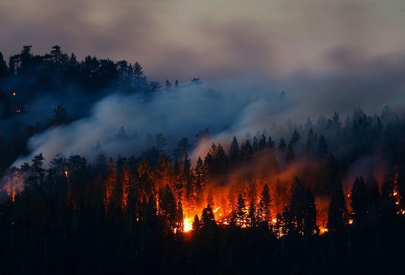 Более 130 человек тушили лесные пожары в Баргузинском районе