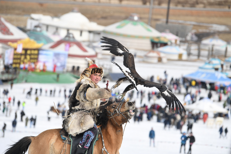 Фестиваль орлов пройдет в Монголии 9-10 марта