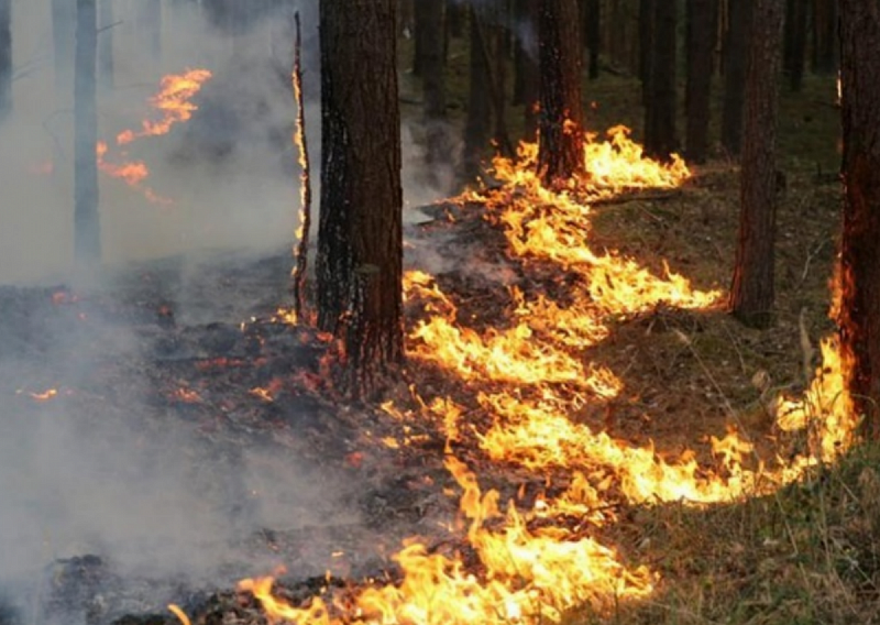 В Бурятии увеличилось количество пожаров