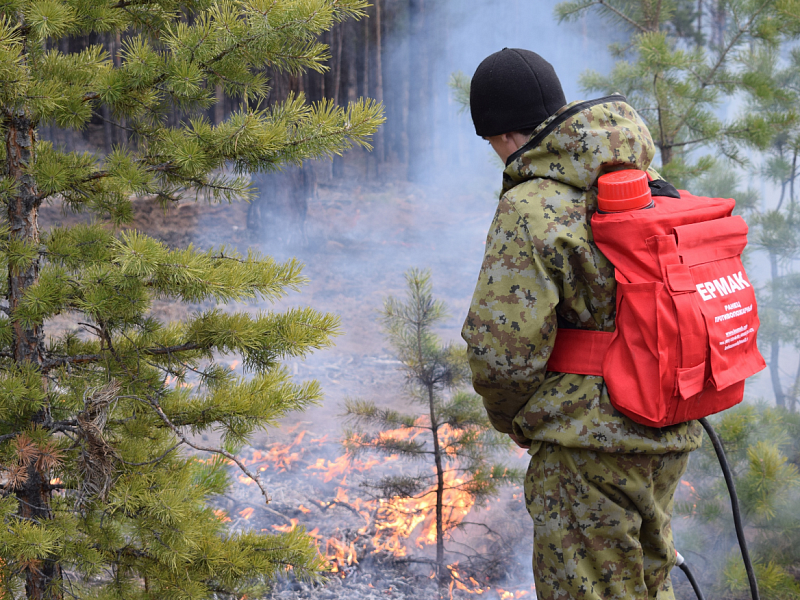 В лесах Бурятии начались профилактические выжигания
