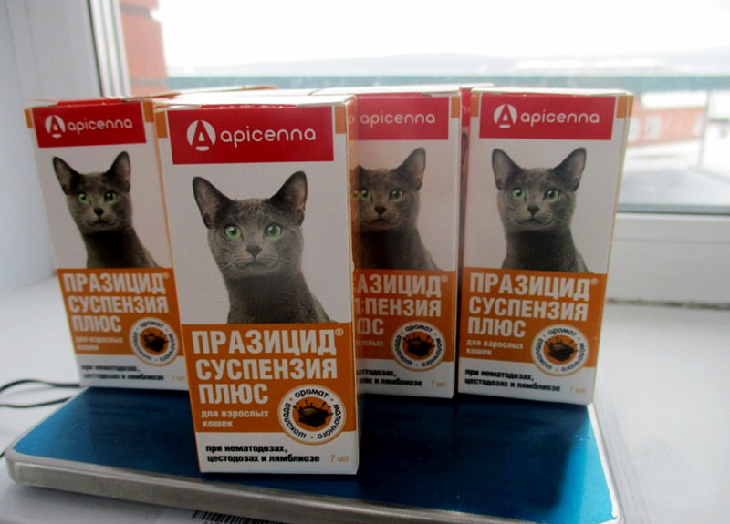 Лекарственные препараты для животных  пытались  незаконно вывезти  из России