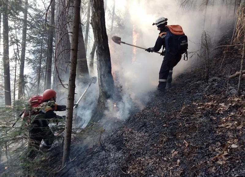 Бурятия является лидером в ДФО и СФО по показателям борьбы с природными пожарами