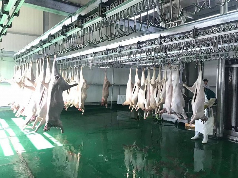 Монголия увеличивает экспорт халяльного мяса