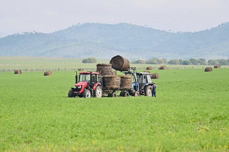 Бурятия получит дополнительно 19,9 млн руб по программе «Агростартап»