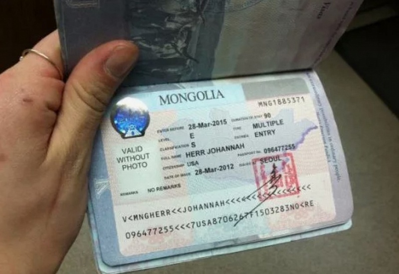 В апреле 2024 года 7233 иностранца получили электронную визу Монголии