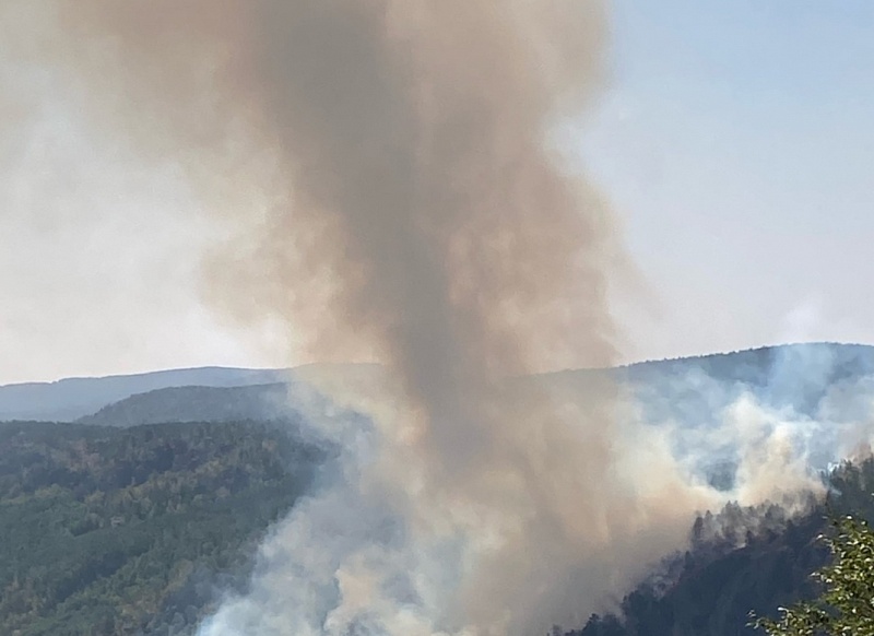 В горах Бурятии тушат лесной пожар