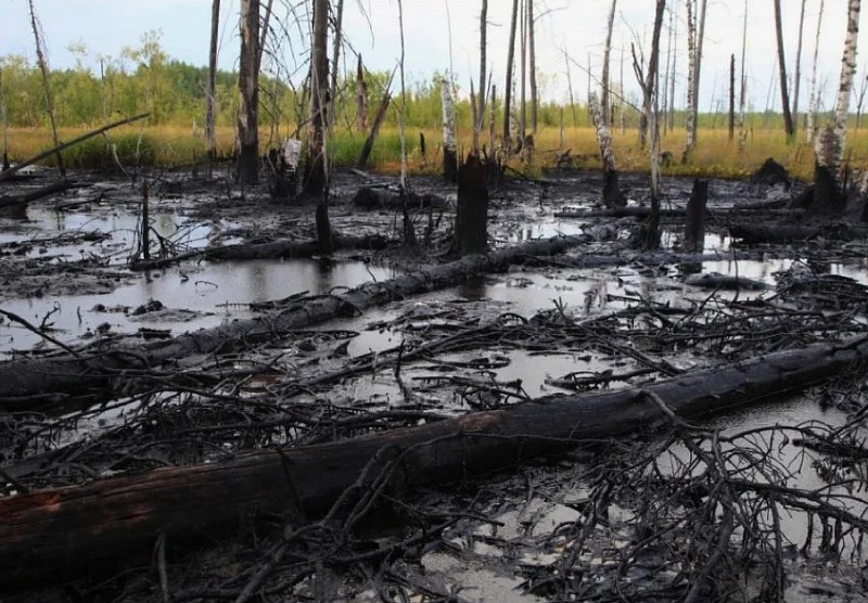 В Калмыкии нефтедобывающую компанию принудили возместить ущерб почвам на 3 млн рублей