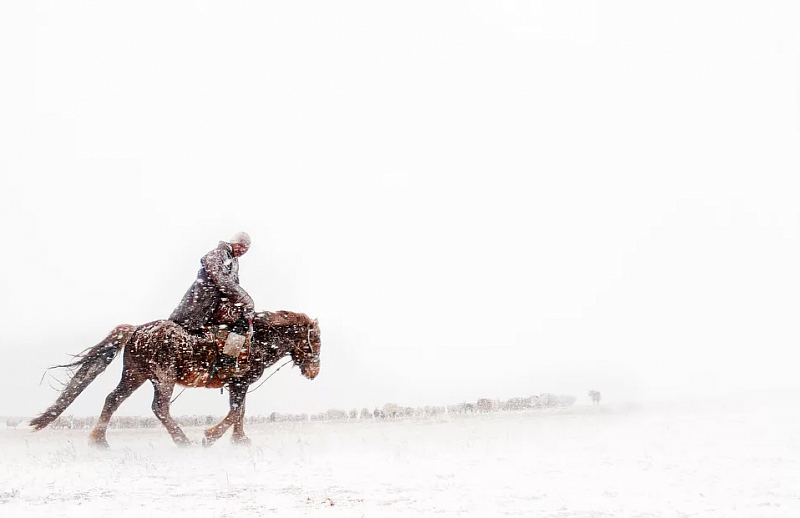 Власти Монголии окажут финансовую поддержку семьям погибших в результате мощной снежной бури