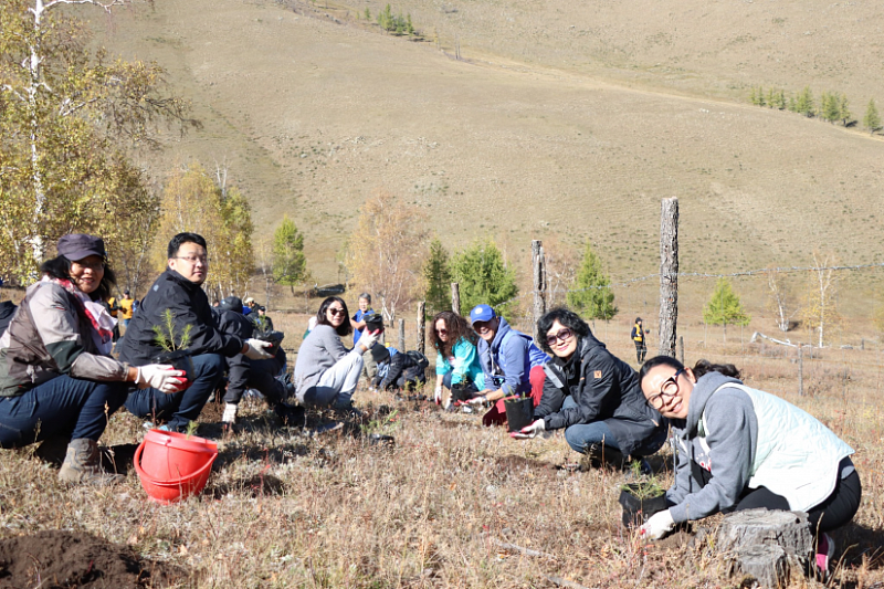 ООН в Монголии вносит свой вклад в движение "Миллиард деревьев"