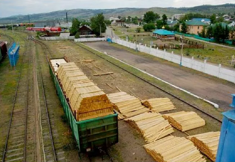 Неуплату более 300 тысяч рублей таможенных платежей за экспорт лесоматериалов выявила Бурятская таможня 