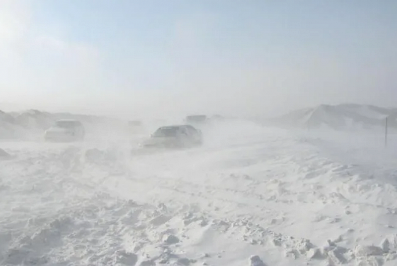 Жертвами мощной снежной бури в монгольских аймаках Тув и Увурхангай стали восемь человек