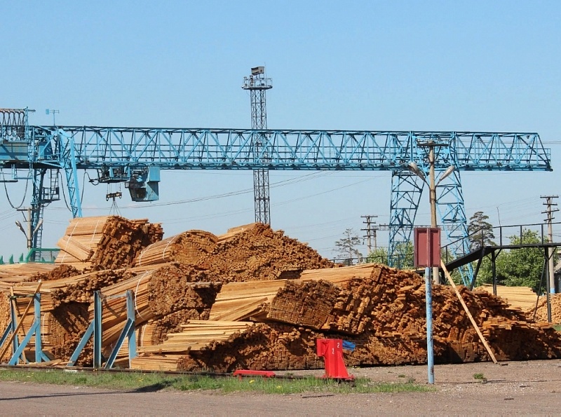 Контрабанду лесоматериалов стоимостью 800 тыс. рублей выявили таможенники в Бурятии