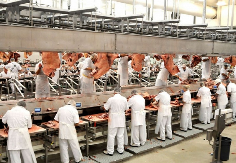 Четыре мясоперерабатывающих завода построят в Монголии
