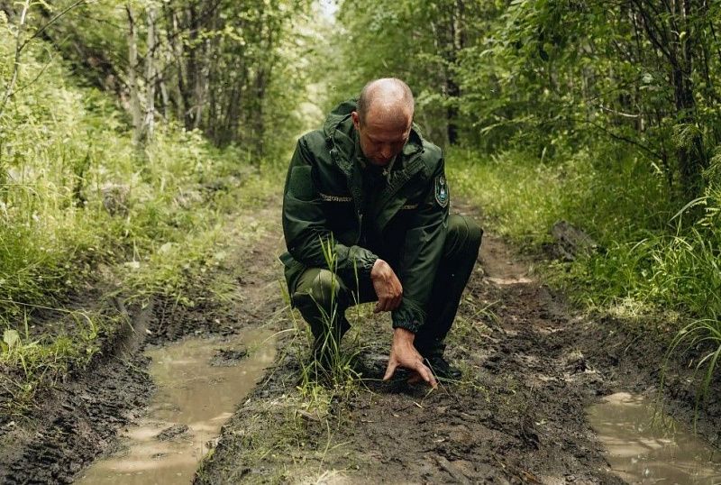 В Бурятии усиливают меры по регулированию численности медведей