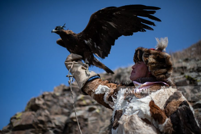 В Монголии готовятся к Фестивалю орлов