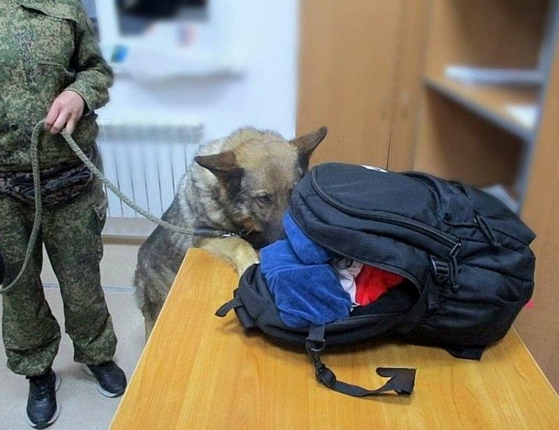 Два факта ввоза в Россию незадекларированной валюты пресекли таможенники в Бурятии