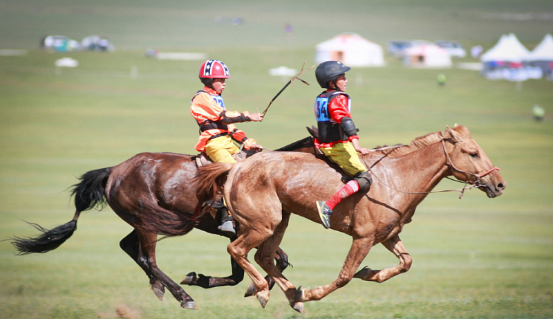 В аймаках Монголии региональные скачки пройдут в рамках фестивалей Наадам