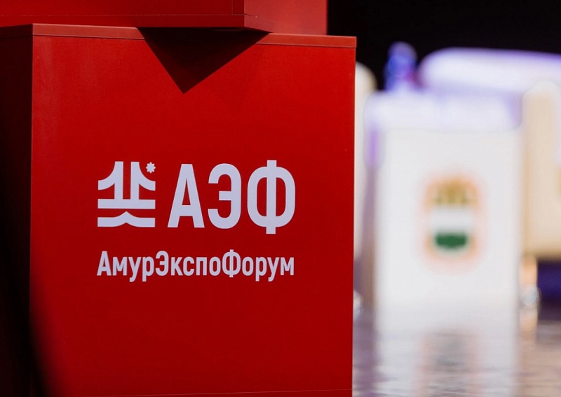 Российско-китайский экономический форум "Амурэкспо-2024" открылся в Благовещенске