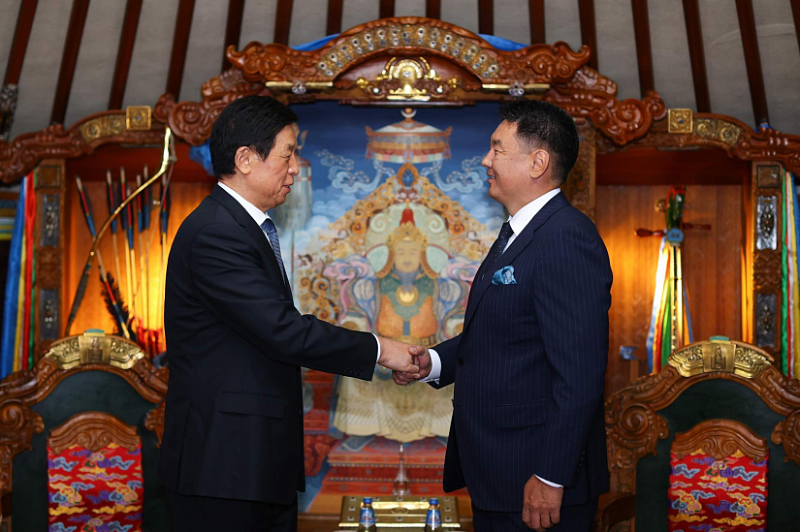 Ли Чжаньшу нанес визит вежливости президенту Монголии