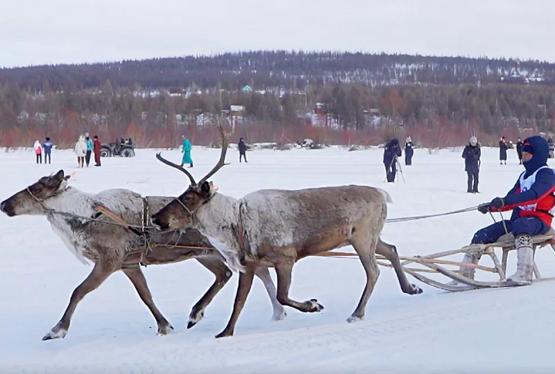 В Якутии прошел международный чемпионат оленеводов