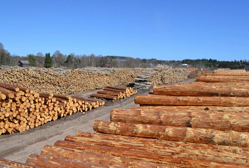 Из Бурятии на экспорт отправлено более 100 тысяч куб. м лесоматериалов