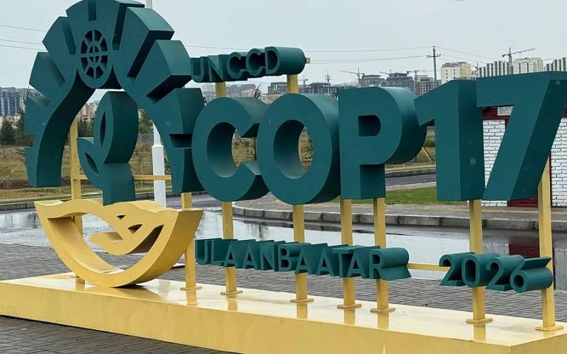 Монголия готовится к COP17: для гостей задействуют свыше 160 автобусов
