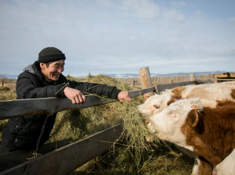 Бурятия - в тройке лидеров среди регионов ДФО по производству сельхозпродукции