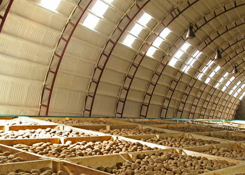 В Бурятии в 2025 году построят овощехранилище емкостью 20 тыс. тонн